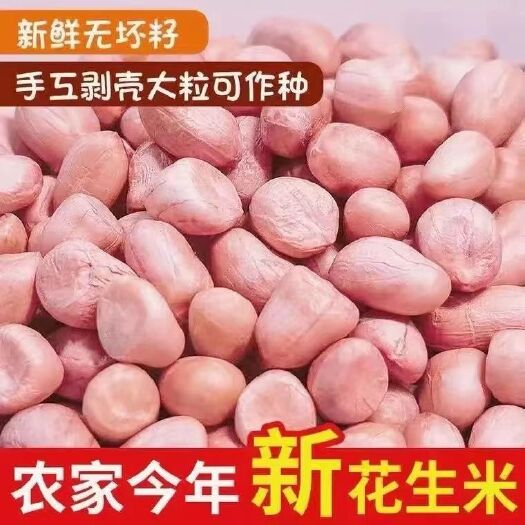 兰考县【24小时内发货】不带壳榨油农家自种白沙花生