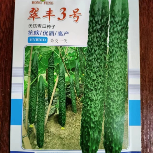 黄瓜种子早中熟一代杂交黄瓜种子耐热耐雨水杂交品种
