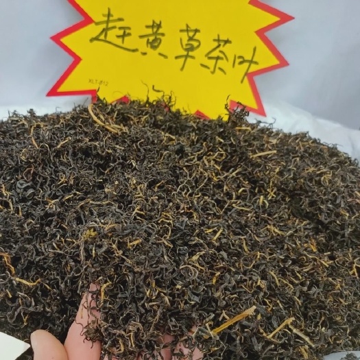 赶黄草叶古蔺本色赶黄草叶子赶黄草茶当季新货