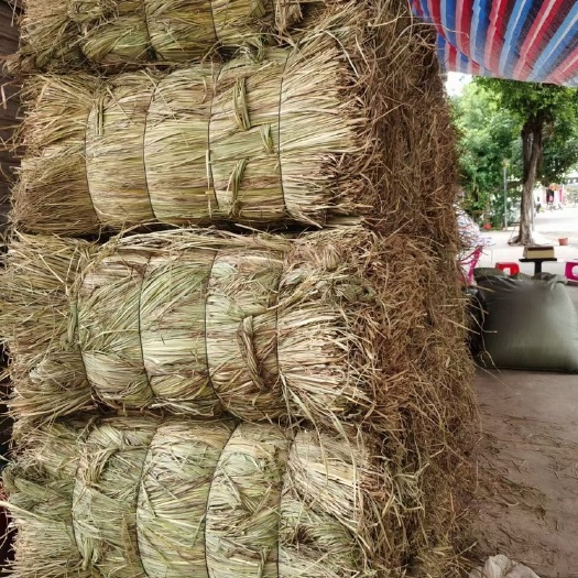 玉林香茅草长条，可切段