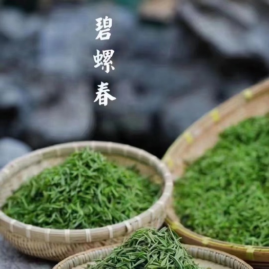 苏州碧螺春茶