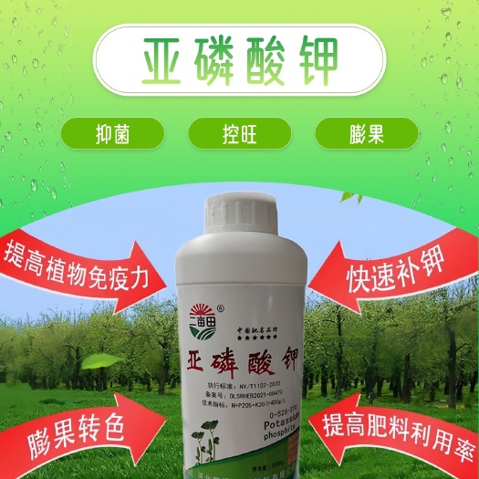 邯郸叶面肥  亚磷酸钾叶面肥 喷施保花保果控旺溃疡克星膨