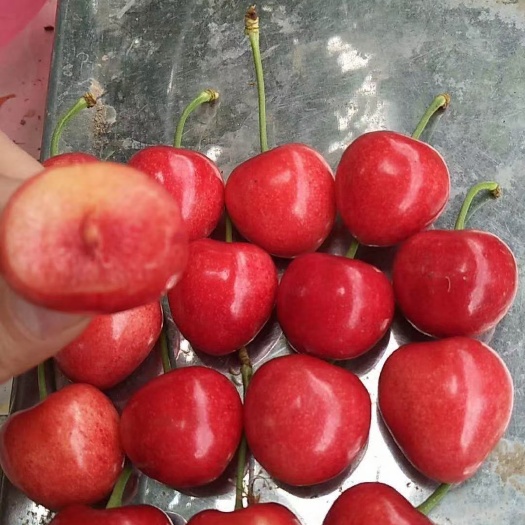 绛县樱桃
