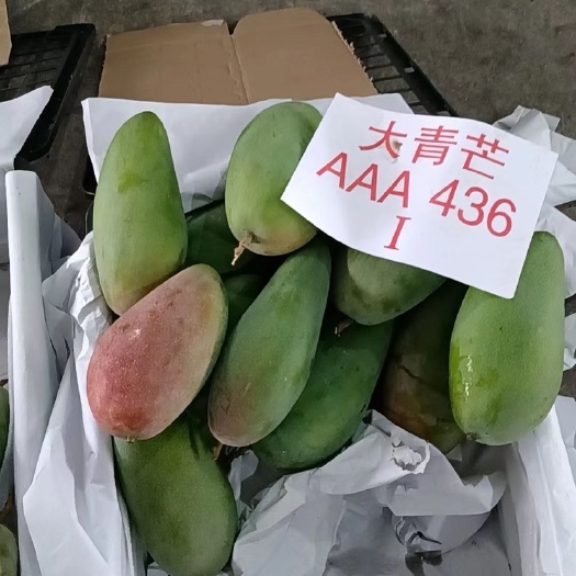 凭祥市越南大青芒。支持批发，电商代发