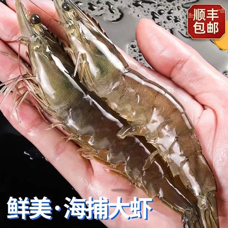 【顺丰24小时内发货】大虾鲜活冷冻海鲜大水产品 青岛海虾