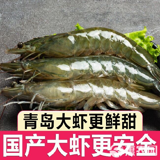 【顺丰24小时内发货】大虾鲜活冷冻海鲜大水产品 青岛海虾