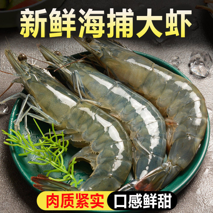 【顺丰24小时内发货】大虾鲜活冷冻海鲜大水产品 青岛海虾