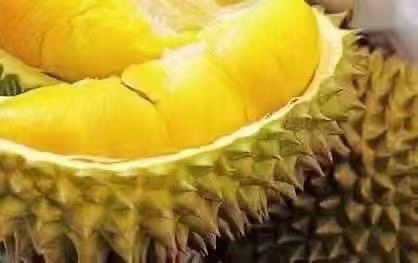湖州泰国金枕榴莲 净重32-34斤 质量3包 858/件