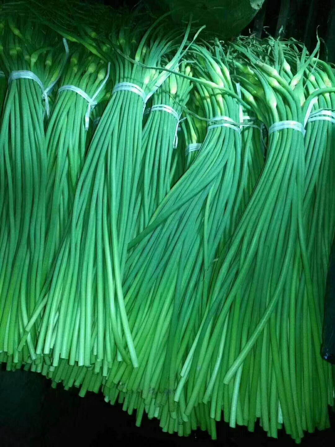 白帽蒜苔，转瞬即逝。有因有果，节节高升