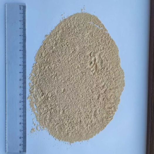巨野县红洋葱粉