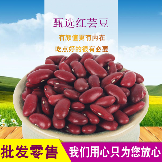 临沂红芸豆大颗粒英国红芸豆五谷杂粮新红腰豆25kg