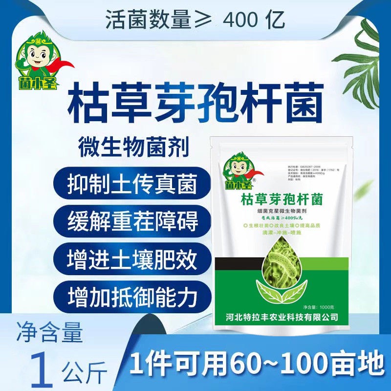 枯草芽孢杆菌微生物菌肥400亿/克微生物菌剂调理改良土壤根腐