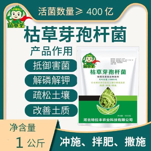 宁晋县枯草芽孢杆菌微生物菌肥400亿/克微生物菌剂调理改良土壤根腐