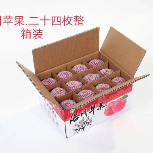 洛川县红富士苹果口感好，肉细，颜色好，糖度高