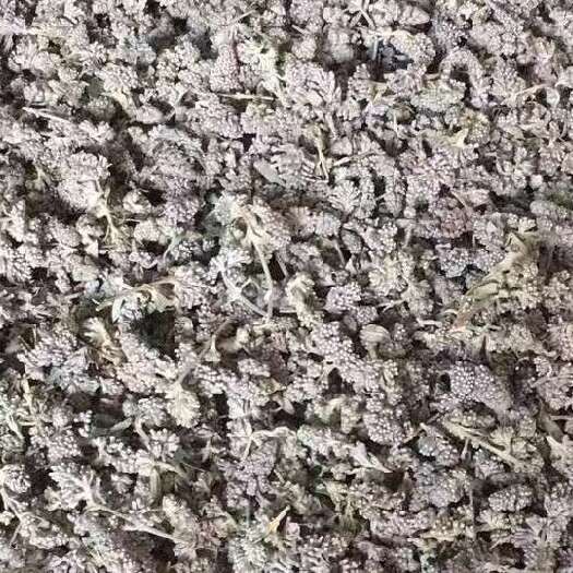密蒙花