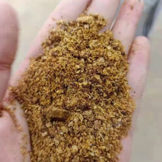 正定县玉米胚芽饼，营养价值高，吸收好，适口性好