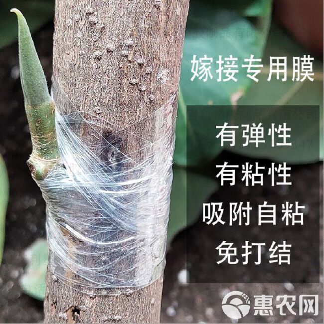 嫁接膜  自粘膜  无需打结接树