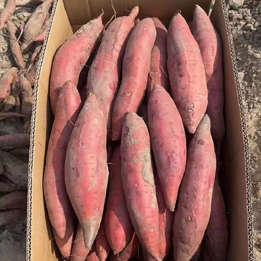 宜城市【西瓜红蜜薯】优质红皮红心红薯，湖北产地直发，品质保证