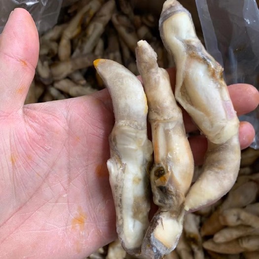 连云港蛏王肉
