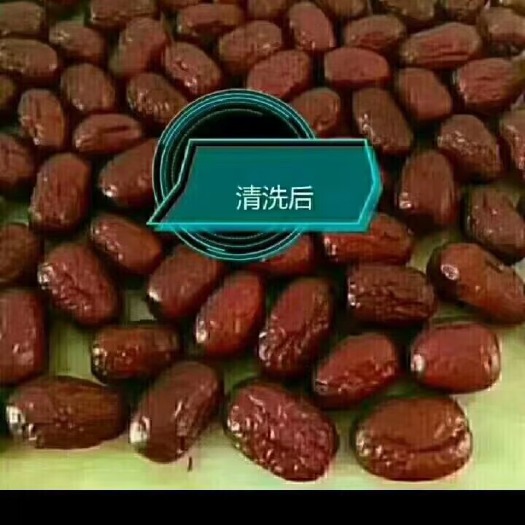 图木舒克新疆灰枣，自然晒干