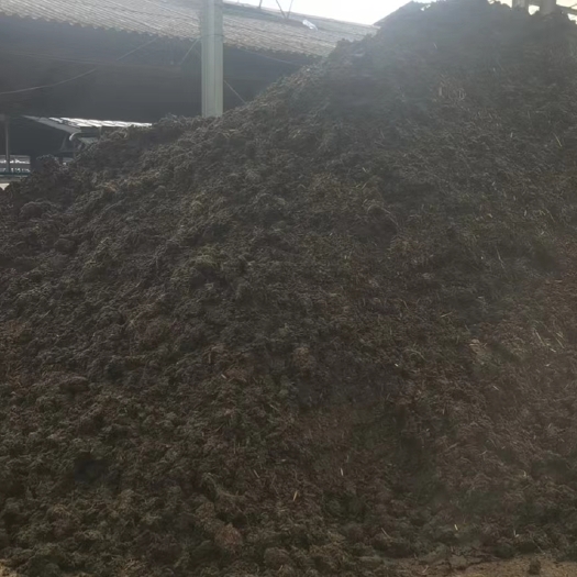四会市发酵牛粪