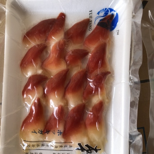 连云港北极贝