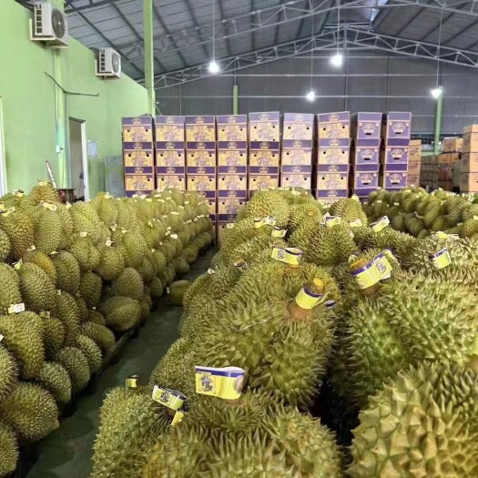 凭祥市金枕榴莲