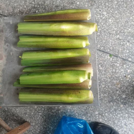 嘉兴精品茭白