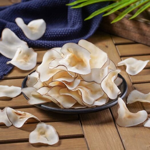 广州海底椰 海底耶片 煲糖水 煲汤清补凉食品批发