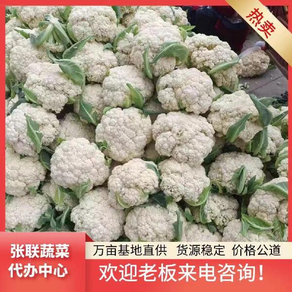 松花  小米花 单颗3斤左右 面白质量好