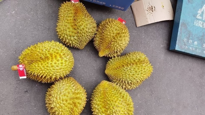 广州金枕a5a6b5b6