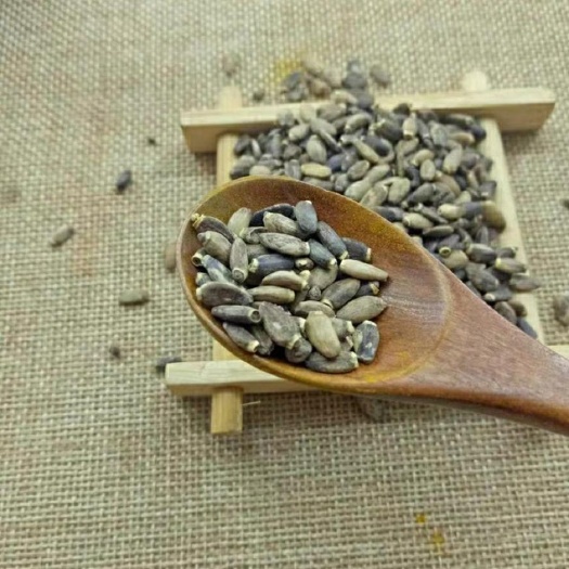 水飞蓟 中药材 干货 量大优惠