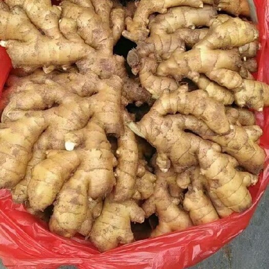 莒县山东生姜产地直销，全国物流发货。