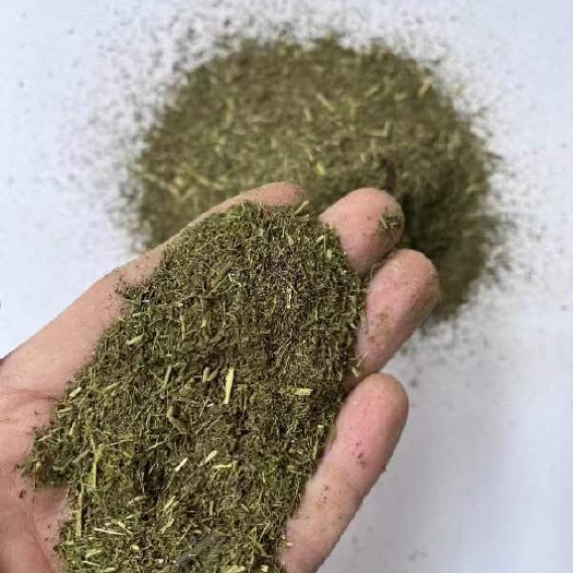 石家庄烘干甜叶菊渣