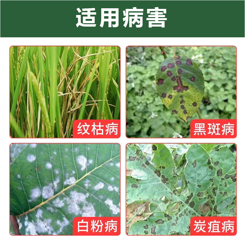 杀菌剂30%肟菌戊唑醇赤霉病霜霉病灰霉病白粉病内吸持续杀菌