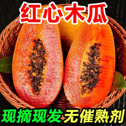 岑溪市广西红心木瓜水果木瓜 当季甜心木瓜支持代发木瓜树上熟!！