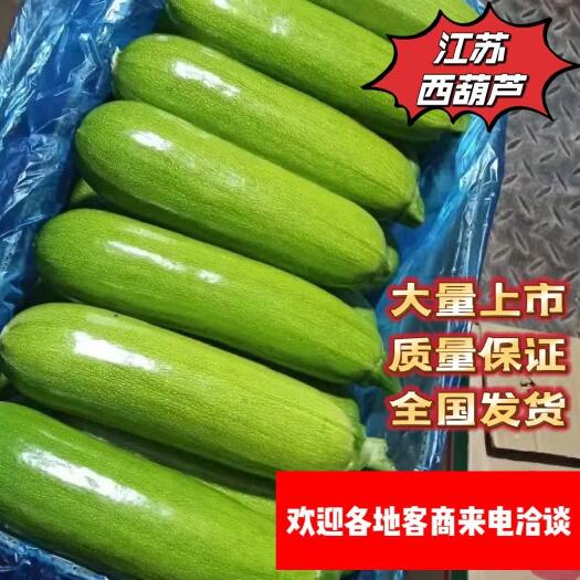 南通绿皮西葫芦