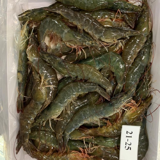 泰国大虾2125/2630南美白对虾泰虾大虾