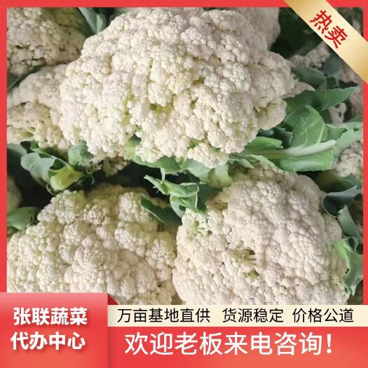 松花  小米花 单颗3斤左右 面白质量好