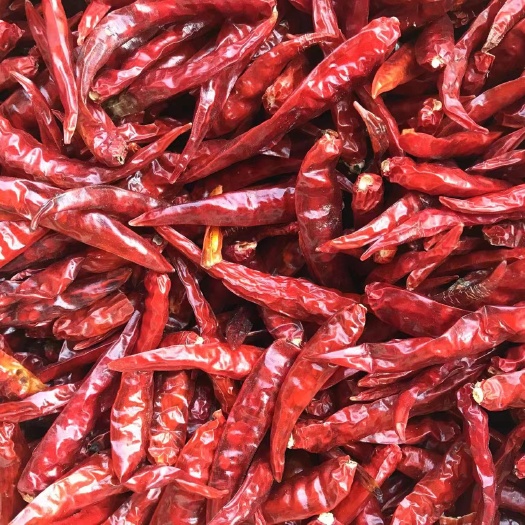 花垣县湖南湘西干辣椒，产地直发！精品质量保证！湖南特产干辣椒！