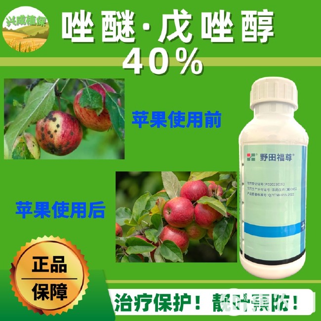 40%唑醚戊唑醇杀菌剂