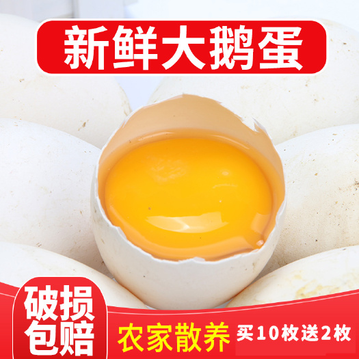 临沭县山东农家土鹅蛋大鹅蛋一枚120-140g