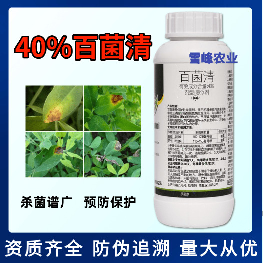 荥阳市40%百菌清杀菌剂番茄早疫病花生叶斑病杀菌药保护性农药杀菌谱