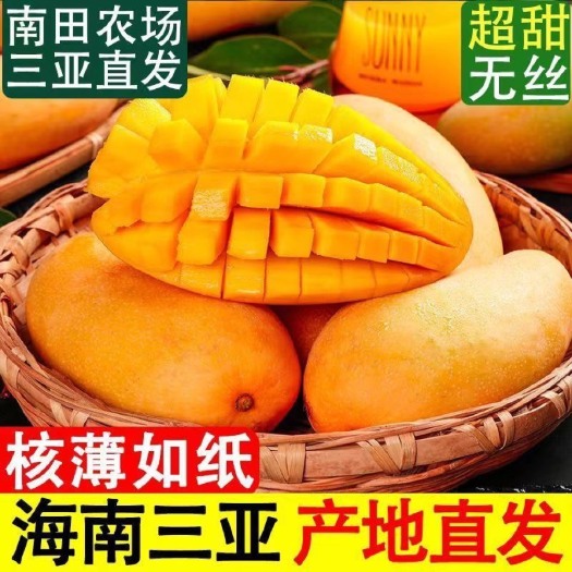 【现货速发】海南金煌大芒果10斤新鲜水果3斤水仙甜心芒整箱批