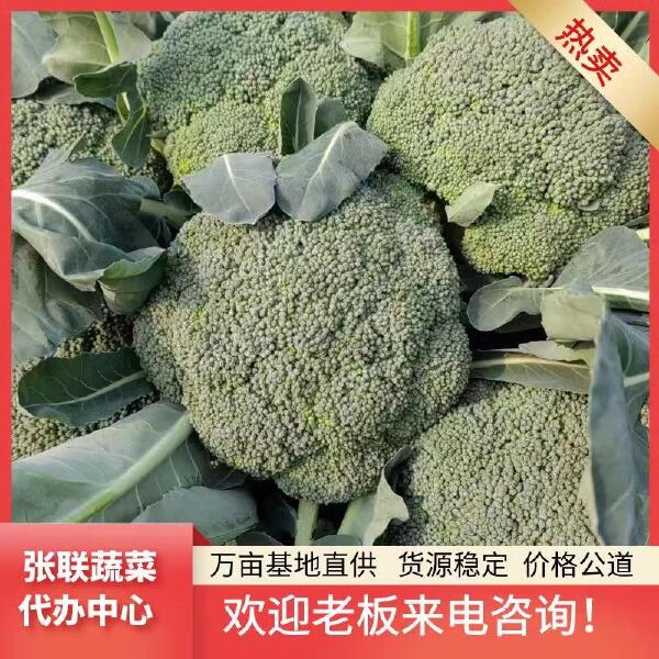 河南炎秀西兰花，单颗1斤，品相好，色度兰