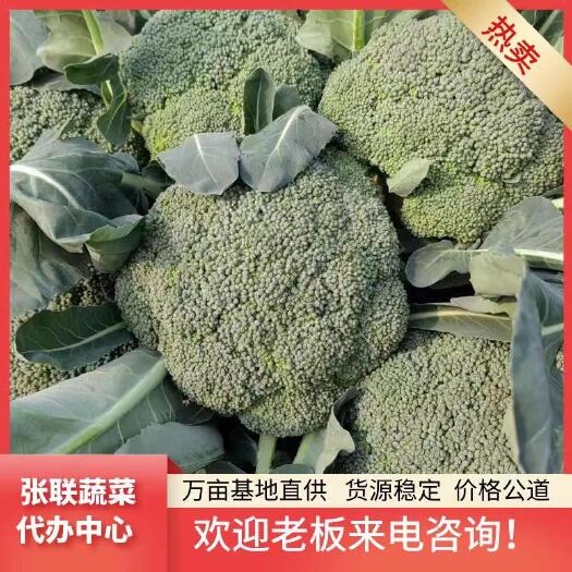 河南炎秀西兰花，单颗1斤，品相好，色度兰