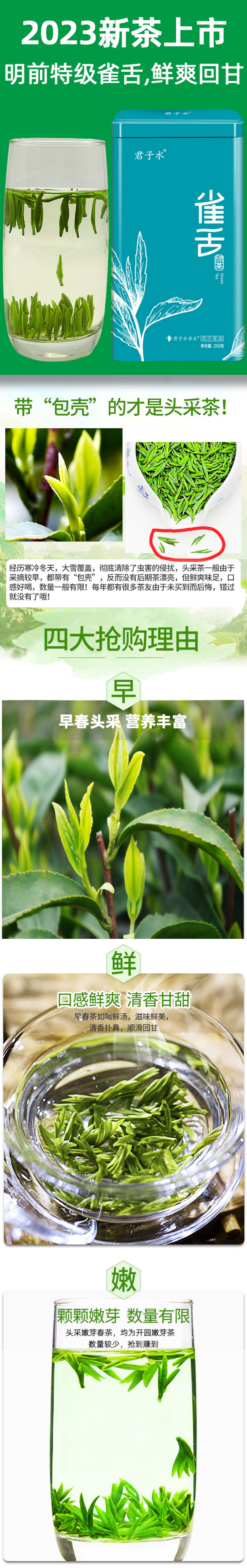 峨眉雀舌2024年新茶新款春茶四川峨眉山毛峰绿茶毛尖全芽茶叶