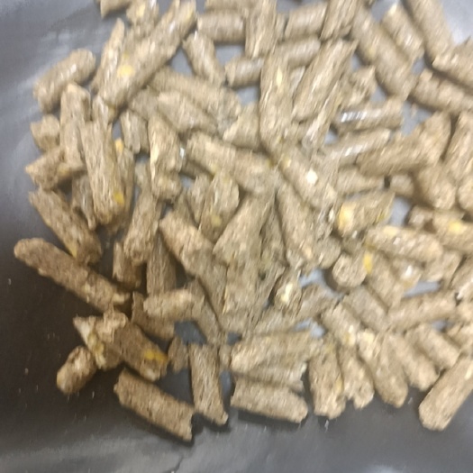 正定县牛羊全日粮，，比草还便宜