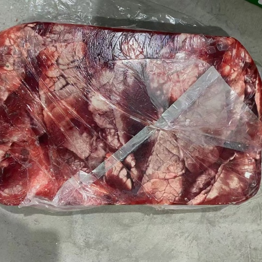 上海食品肺
