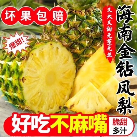 三亚凤梨大果特大香水果菠萝当季甜菠萝批发一整箱包邮